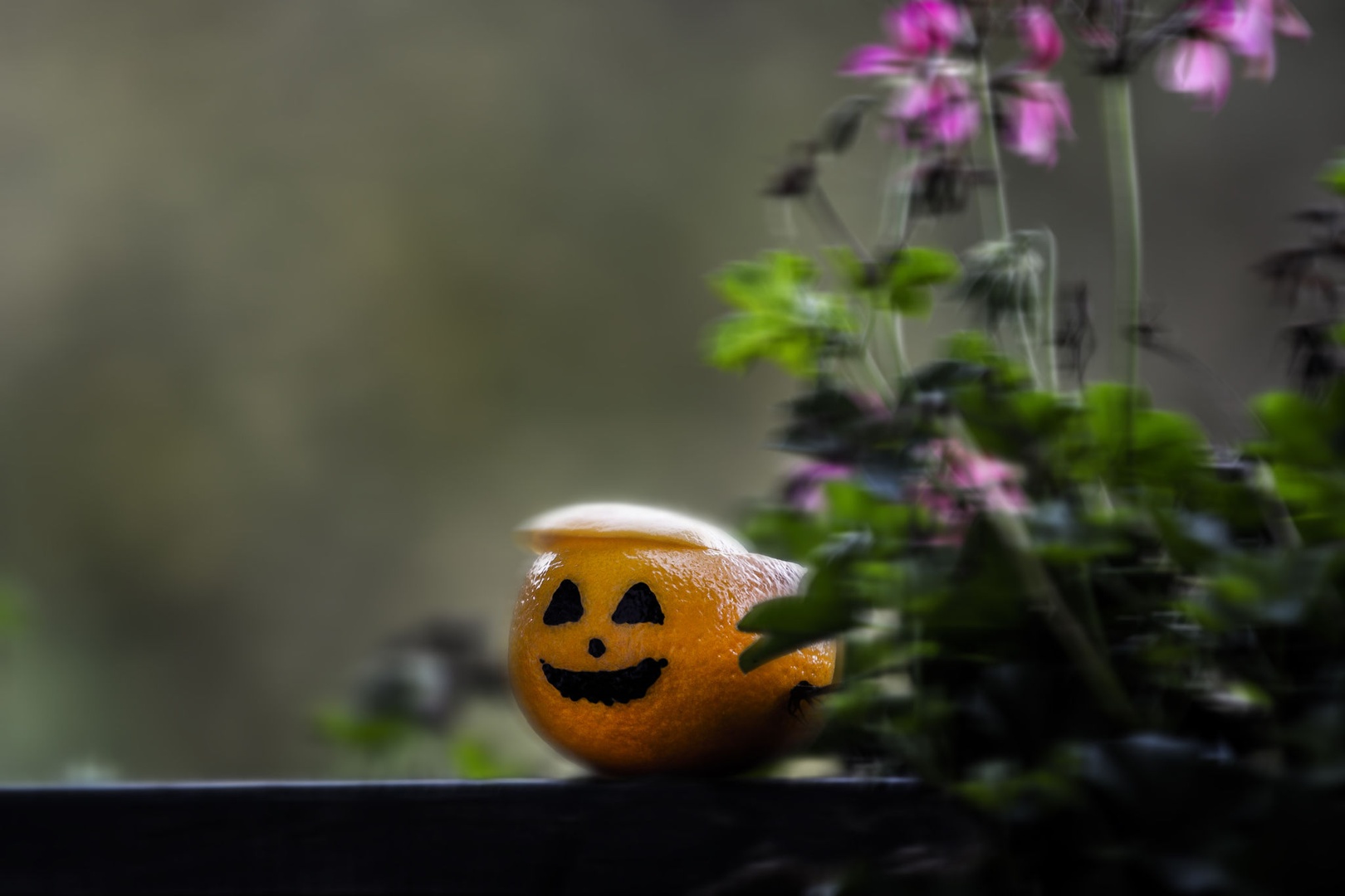 Helloween mandarina by Matej Kapš