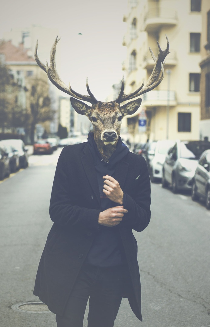 Human deer by Jasmin Porčič