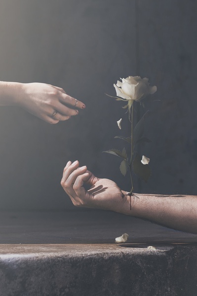 Endless & Unconditional by Jasmin Porčič