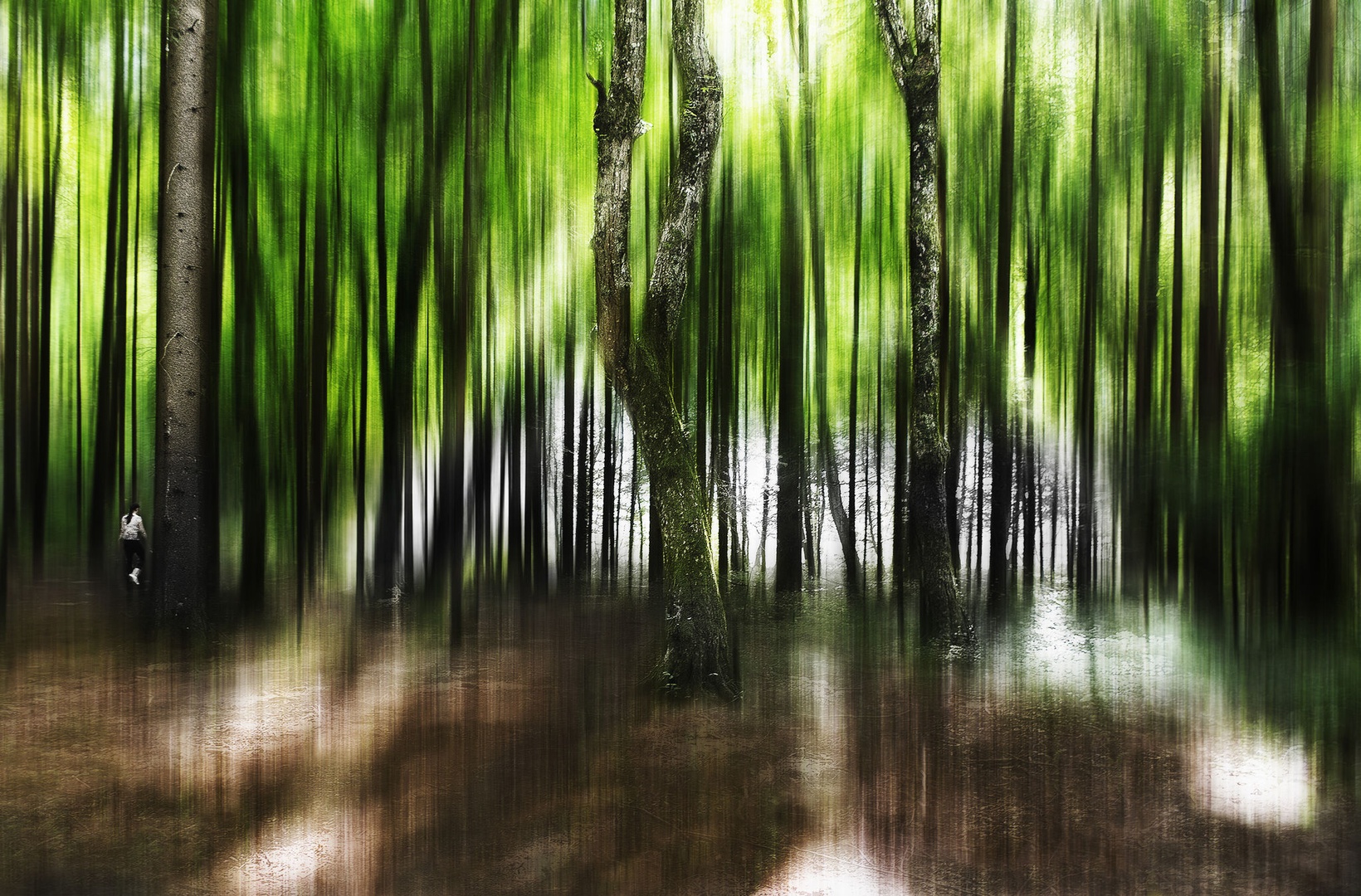 Shadows by Jure Murovec