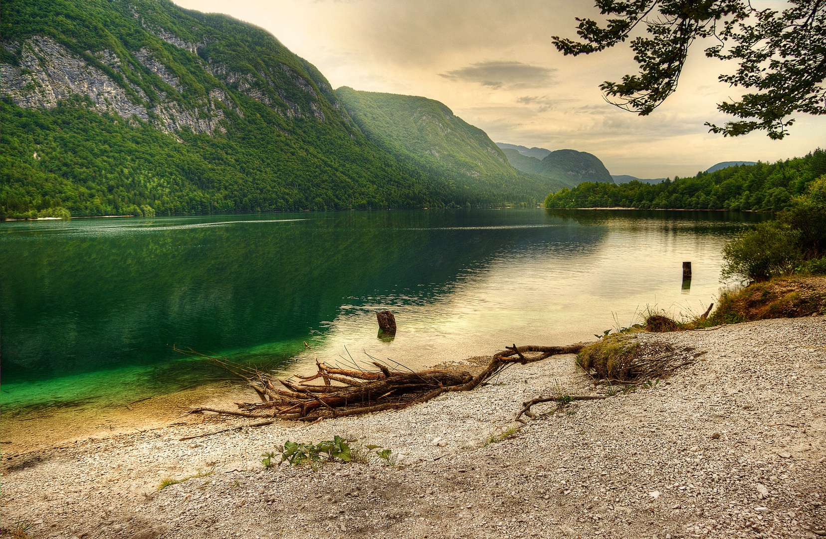Bohinjsko jezero by Jure Murovec