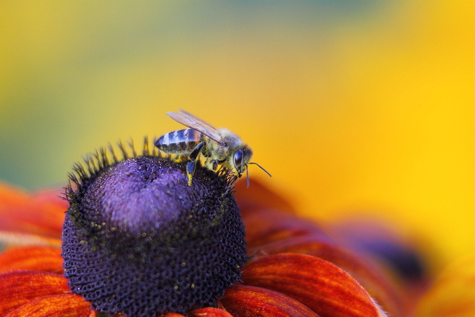 Neumorne delavke by Gregory Senica