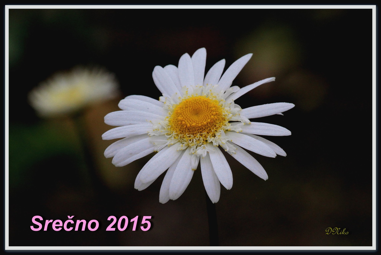 Srečno Novo Leto 2015 by Gregory Senica