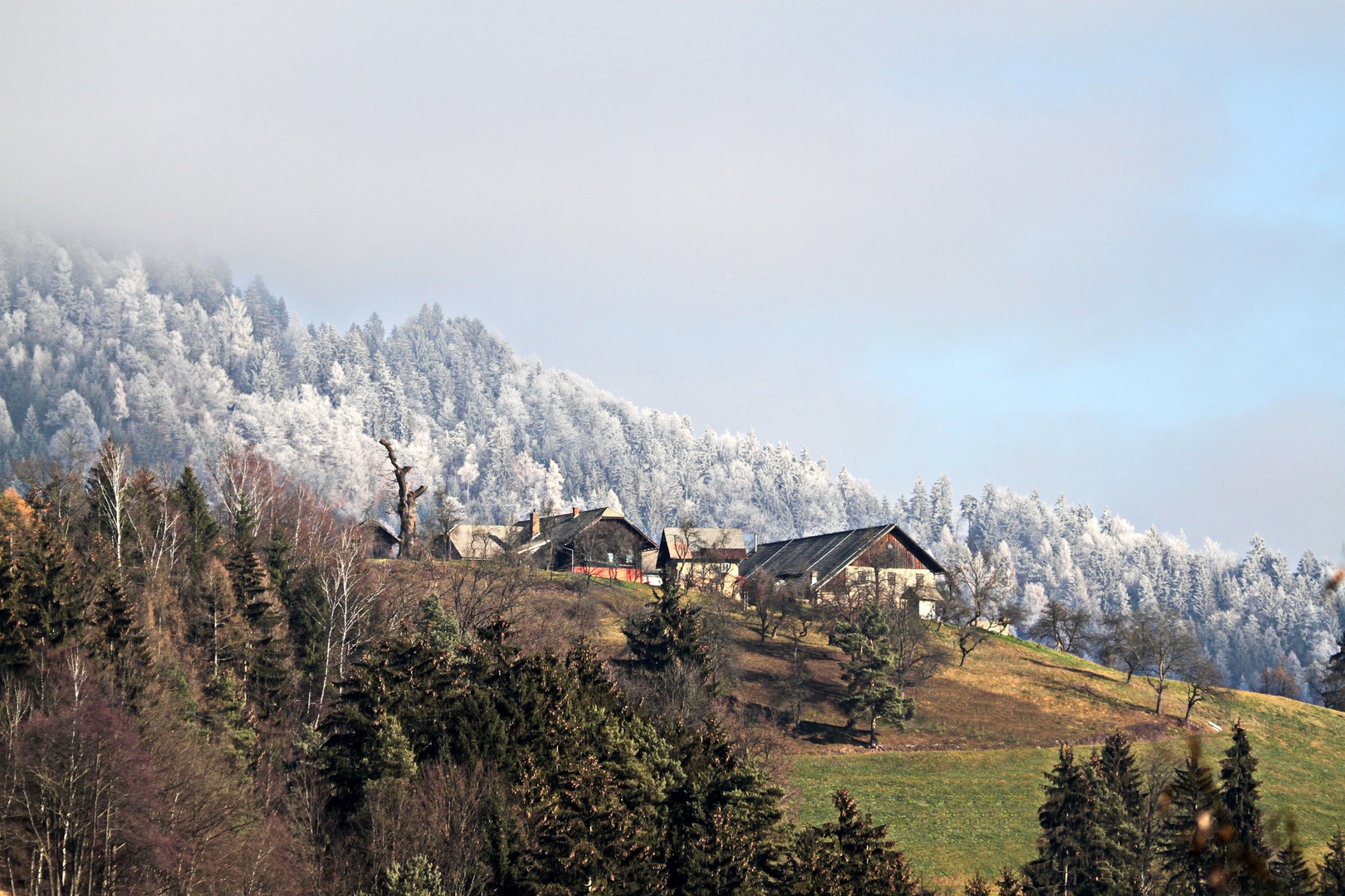 Naša  pozabljena KOROŠKA by Gregory Senica
