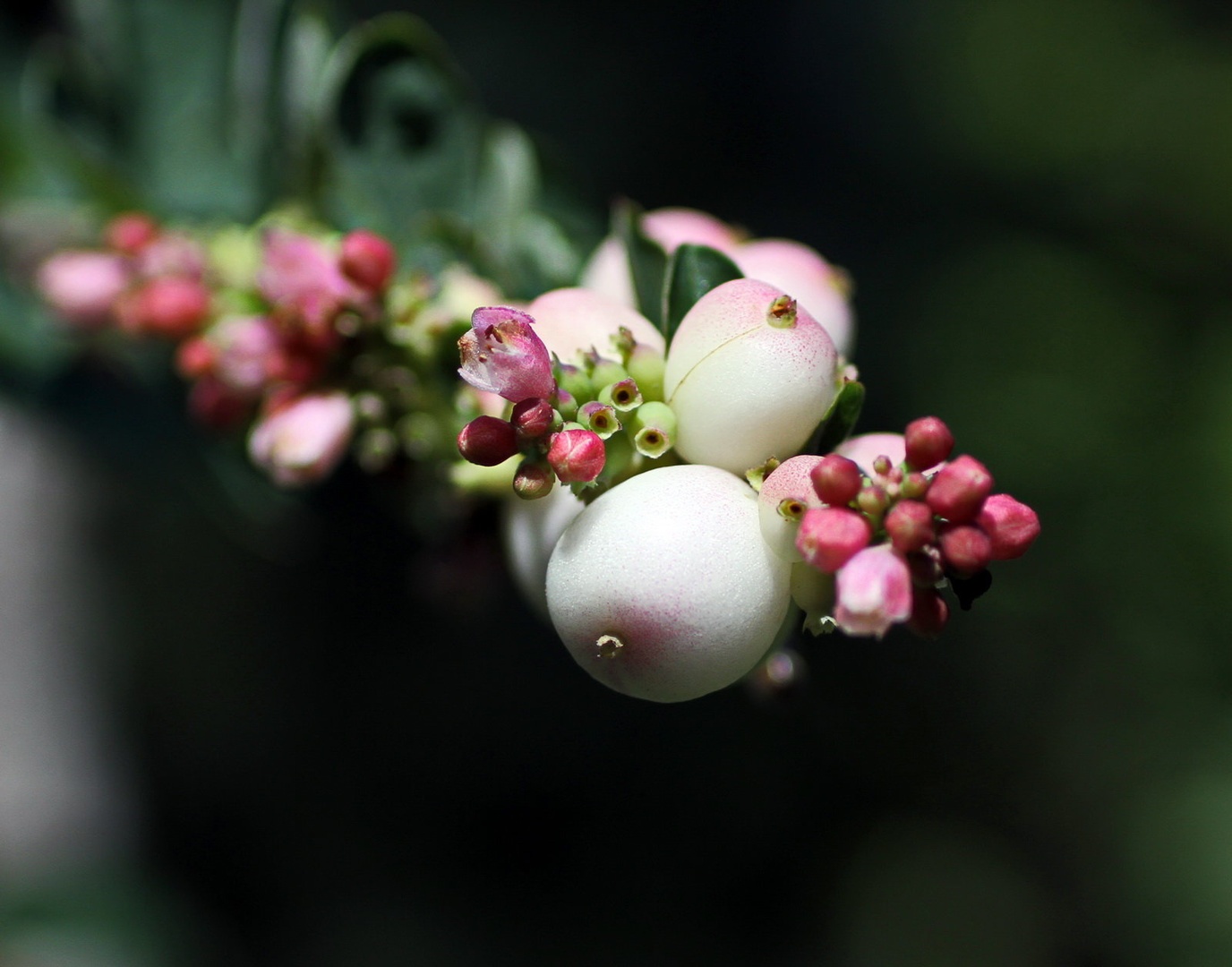 Pomladna by Gregory Senica