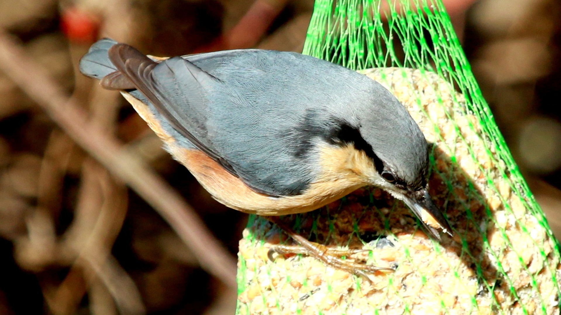 Brglez by Gregory Senica