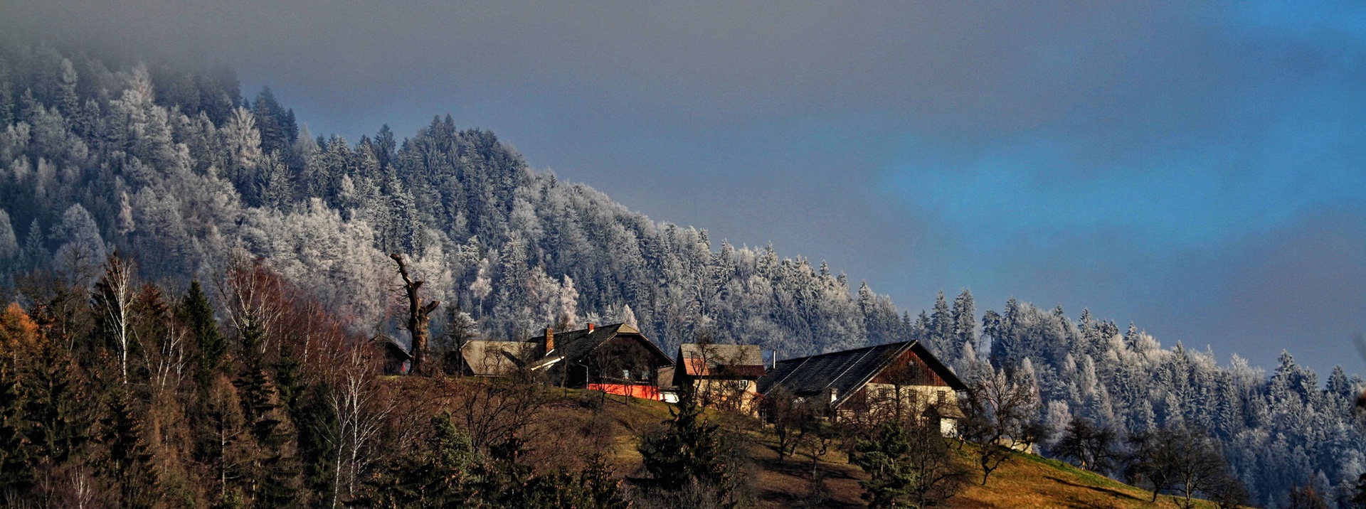 Koroška by Gregory Senica