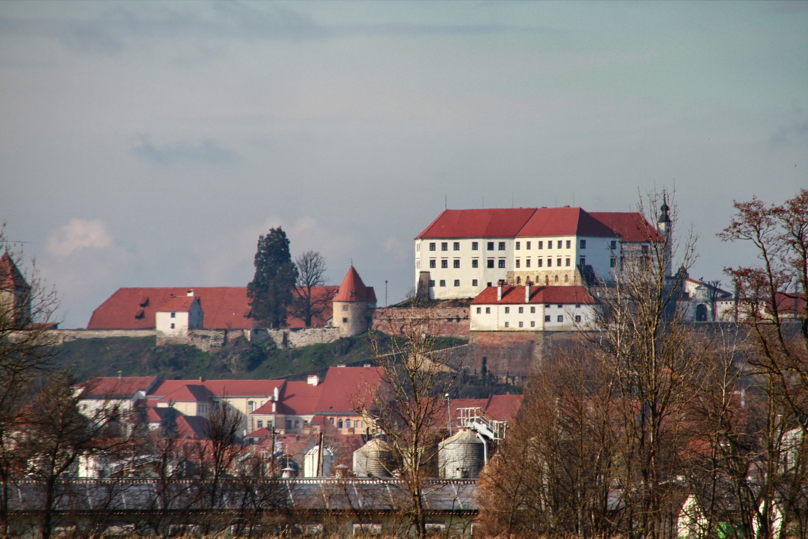 Pogled na ptujski grad by Gregory Senica