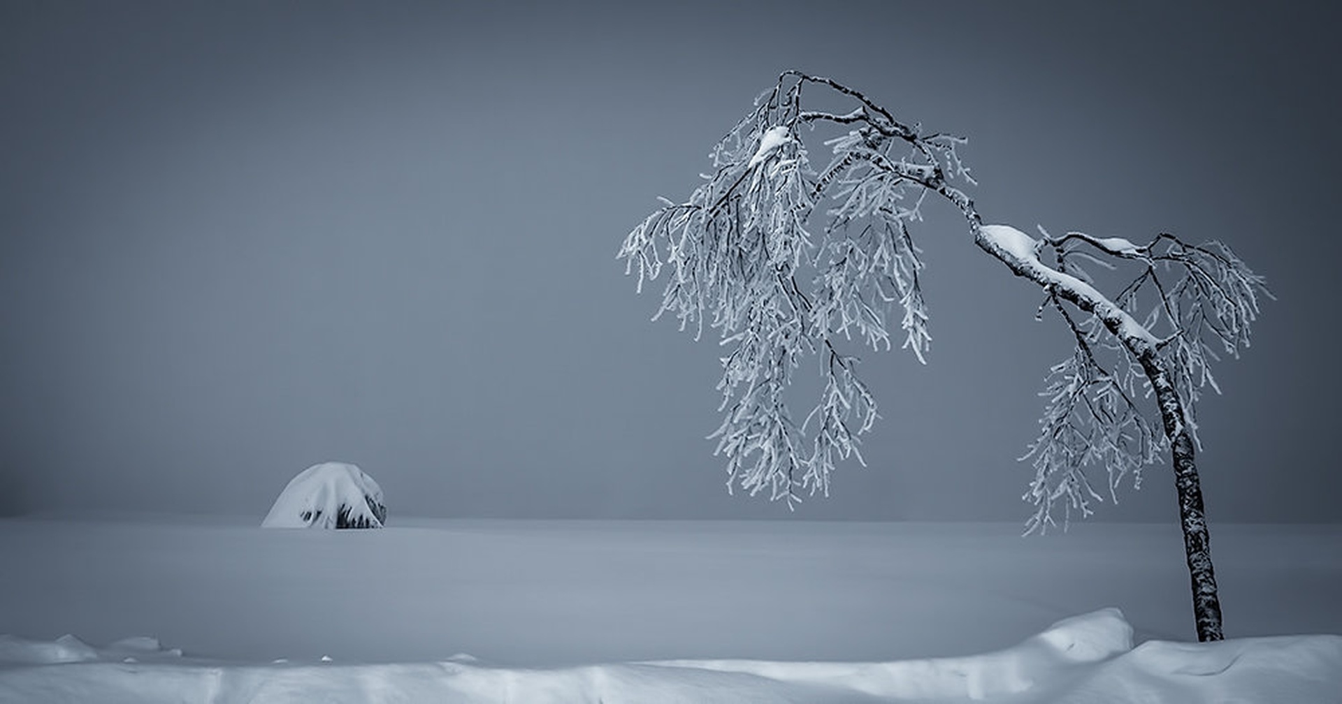 Drevce... by Patrik Zaborac