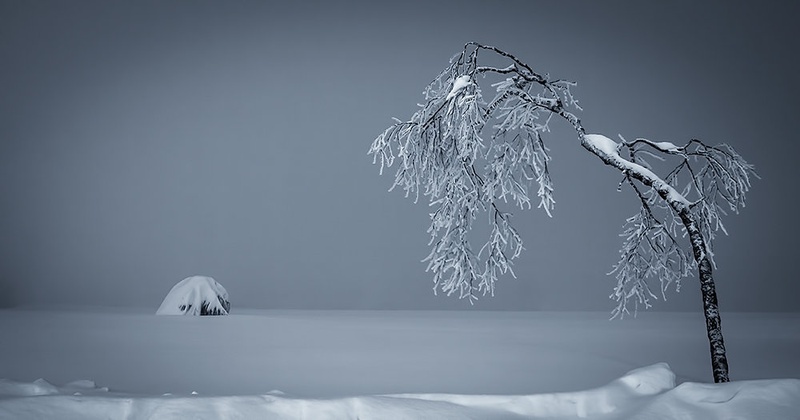 Drevce... by Patrik Zaborac