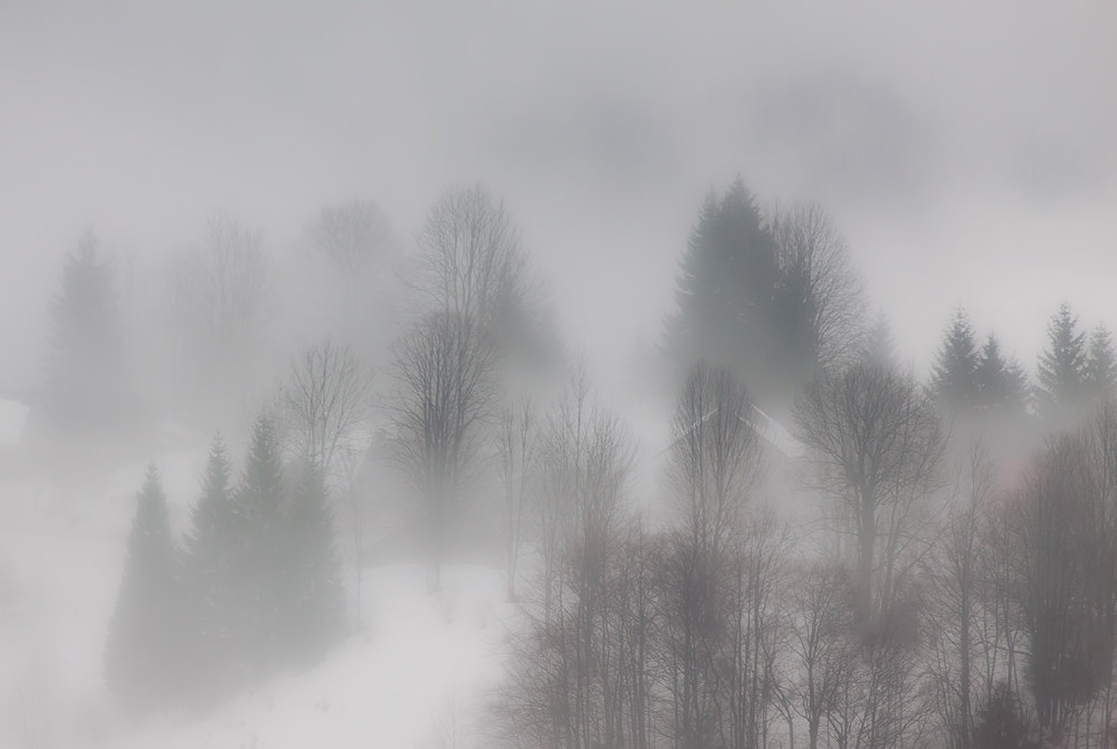 Hidden... by Patrik Zaborac
