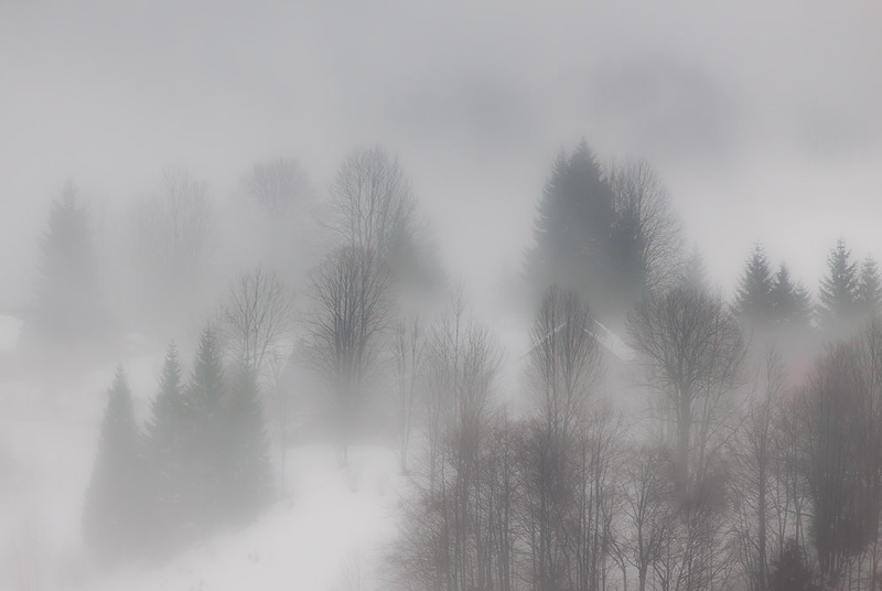 Hidden... by Patrik Zaborac