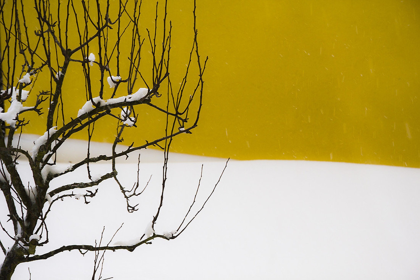 wintergraphy by Lucija J