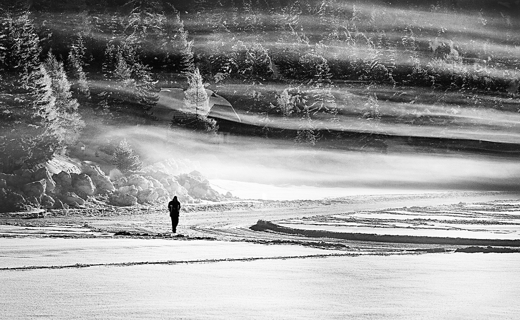 Morning walk by Saša Krušnik