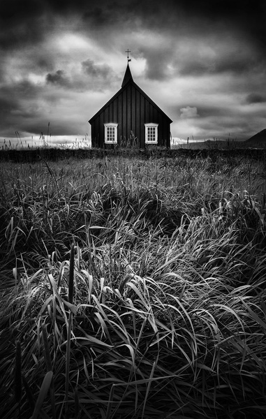 Untamed grass by Saša Krušnik