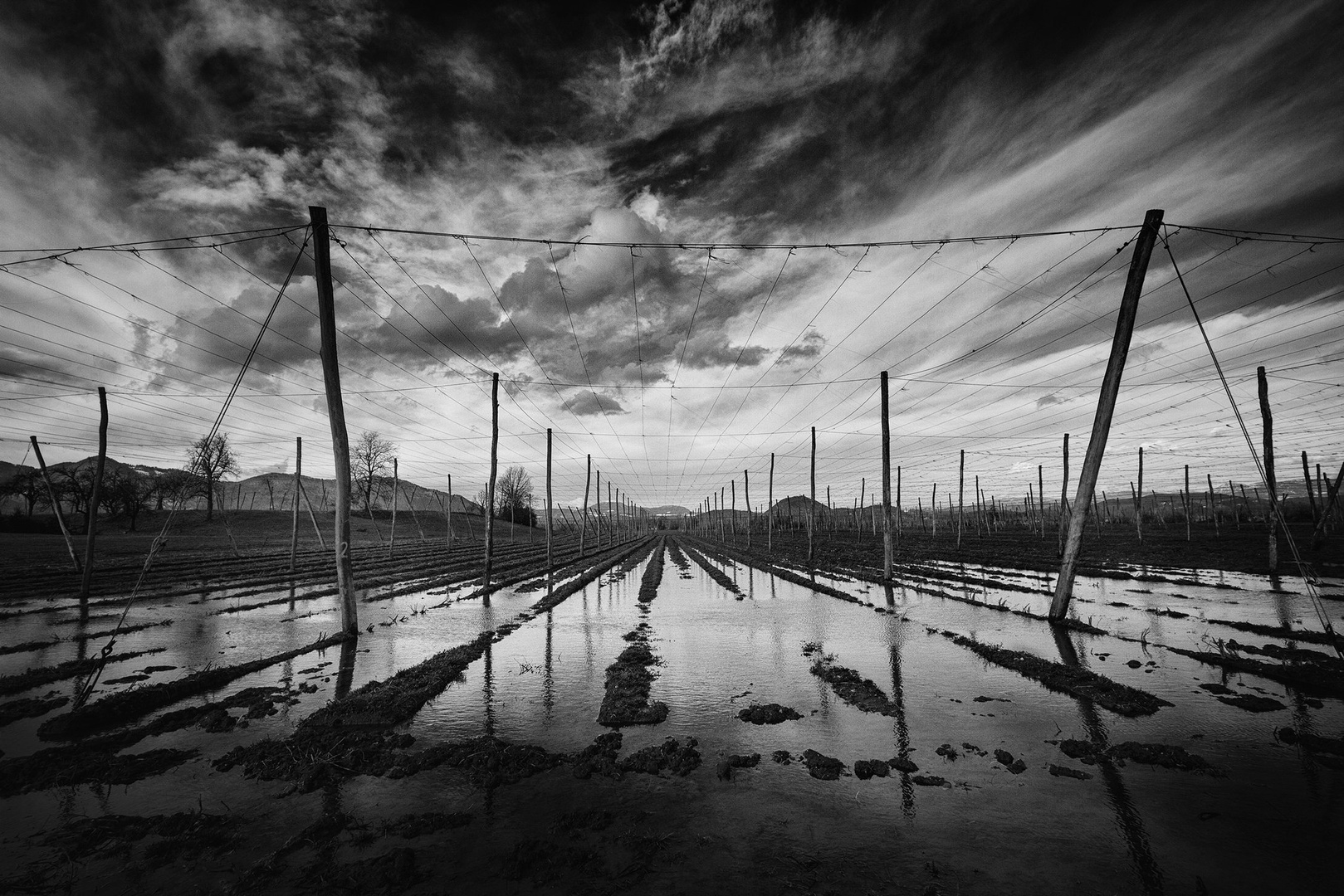 Flooded fields by Saša Krušnik