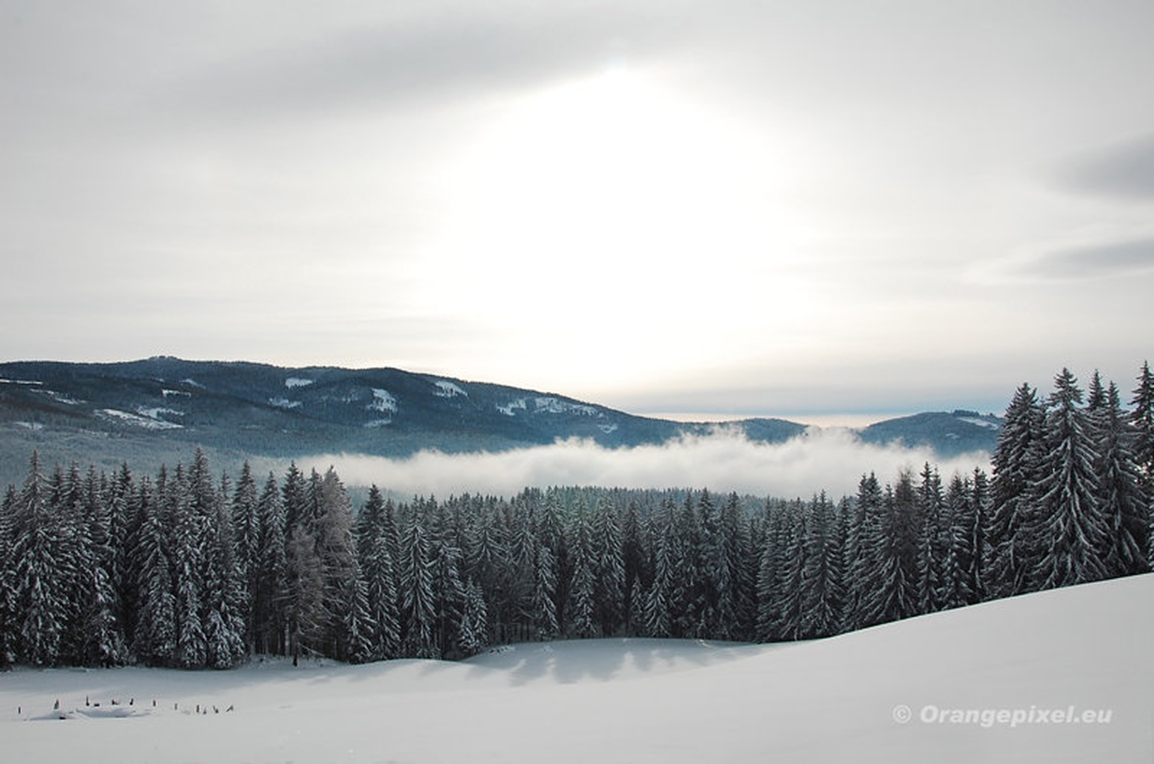 Snowy landscape by