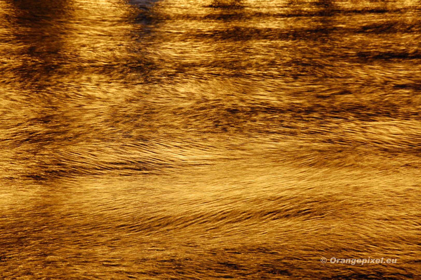 Liquid fire by