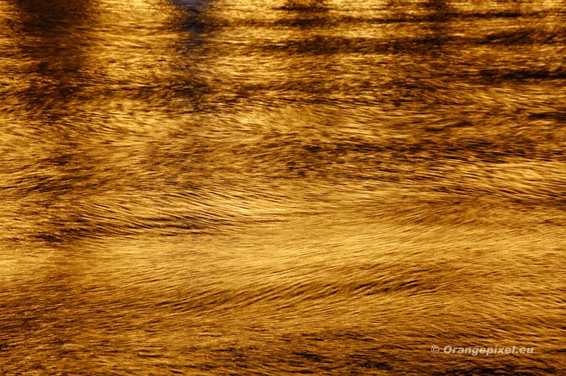 Liquid fire by Orangepixel