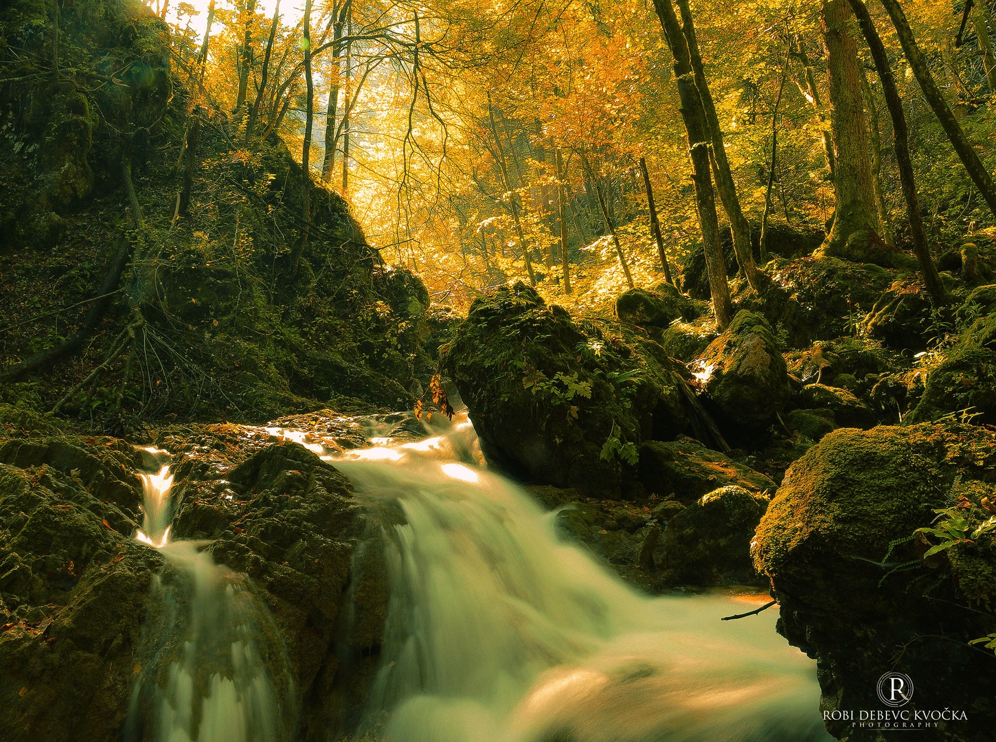 .Soteska Pekel 014.. by Robi DebevcKvocka: Photography