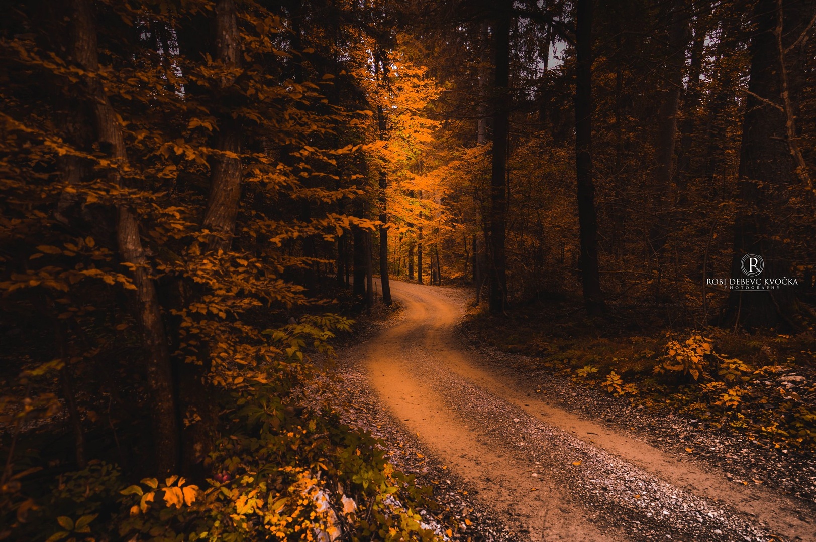 * by Robi DebevcKvocka: Photography