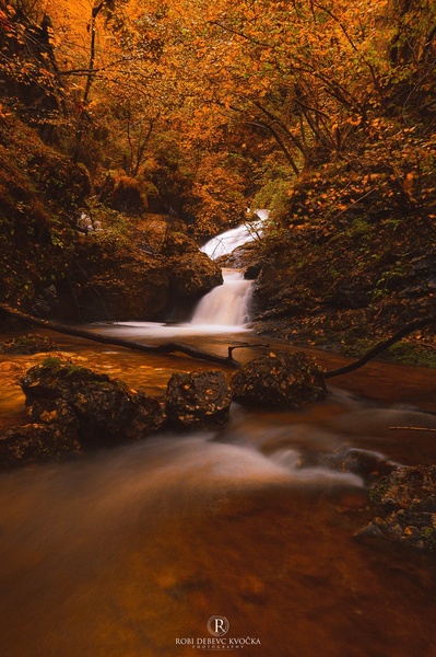 ** by Robi DebevcKvocka: Photography