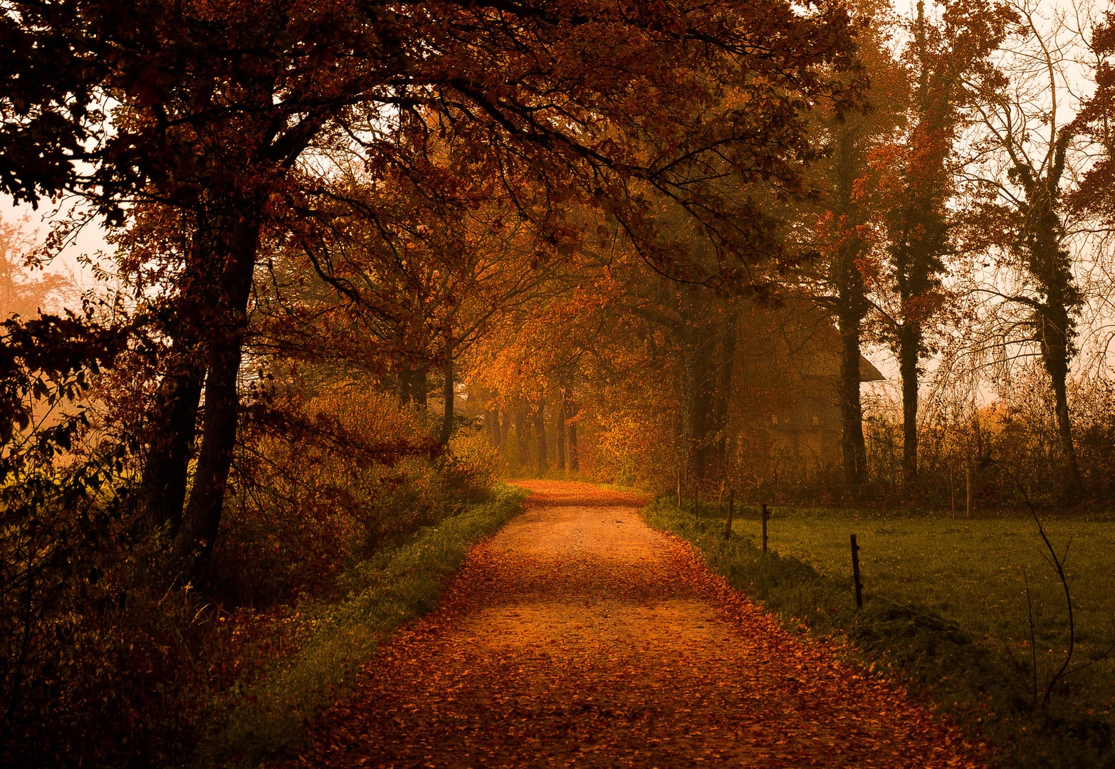 Jesensko jutro. by Robi DebevcKvocka: Photography