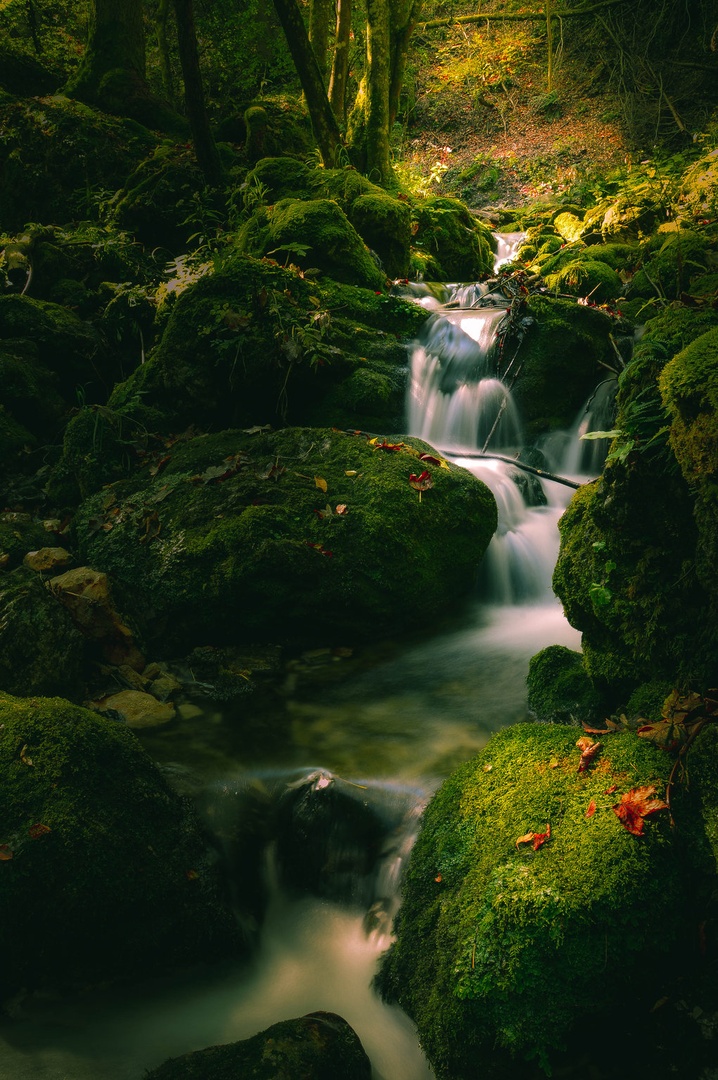 Stand Here. by Robi DebevcKvocka: Photography