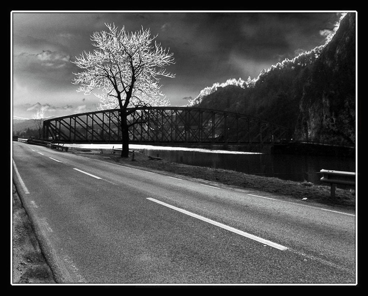 ROAD by kiwi