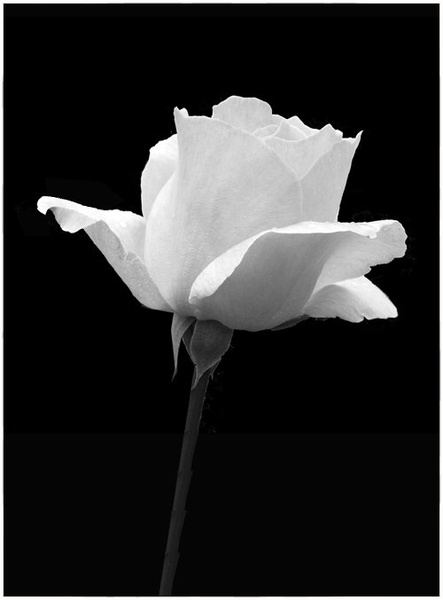 For you! by kiwi