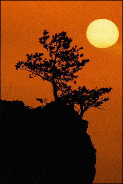 Sunset by kiwi