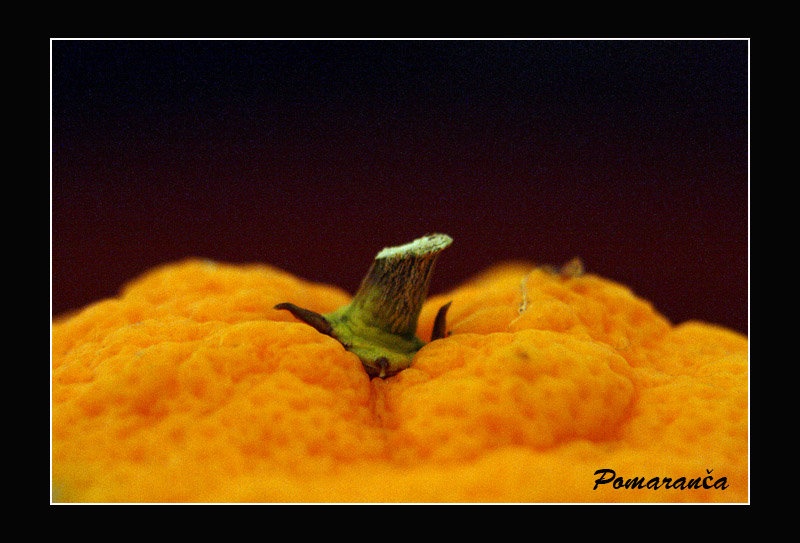 Pomaranča by kiwi