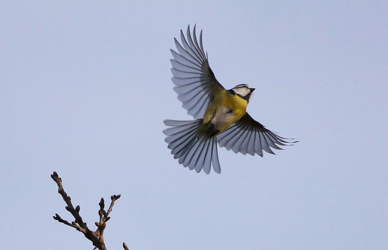 Takeoff by Tadej Strojnik