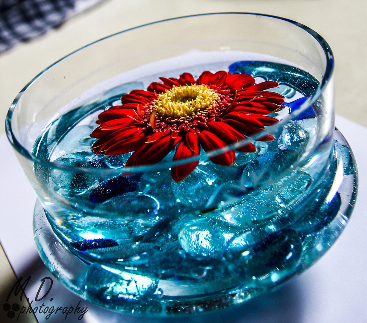 Floating flower! by Miha Dečman