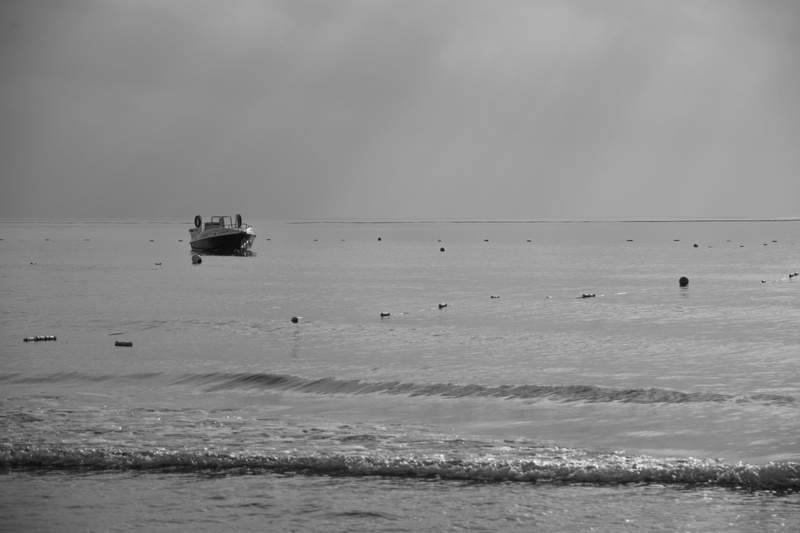 Boat by Andraz P