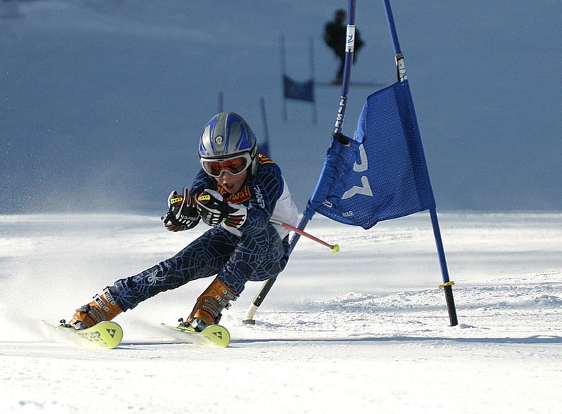GriziGrizi!!! by Niko Bernard