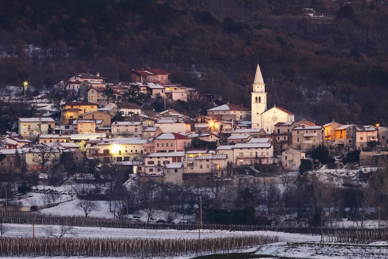 Vasica by Leon