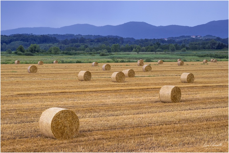 Bale Valle by Leon