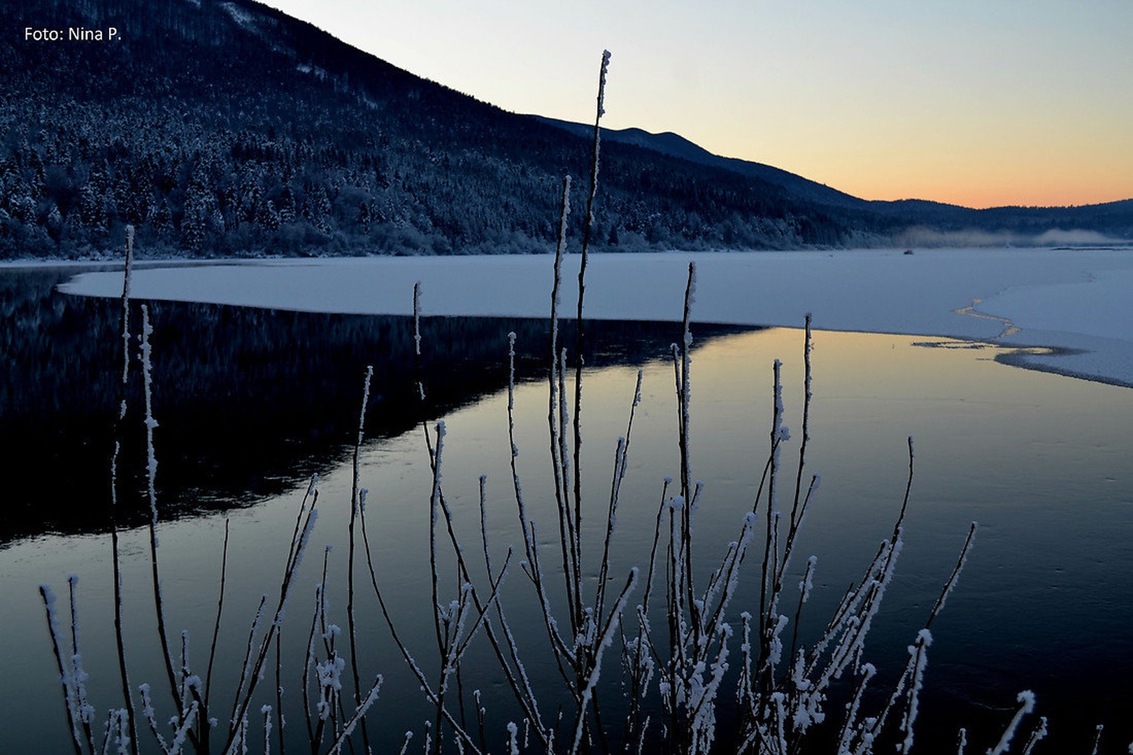 Winter beauty by