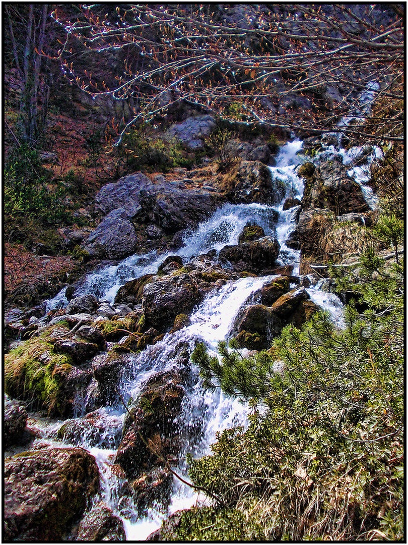 Potoček by Hojnik Photography