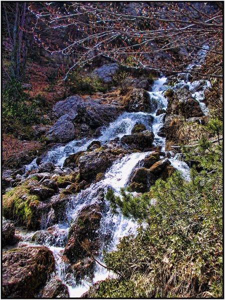 Potoček by Hojnik Photography