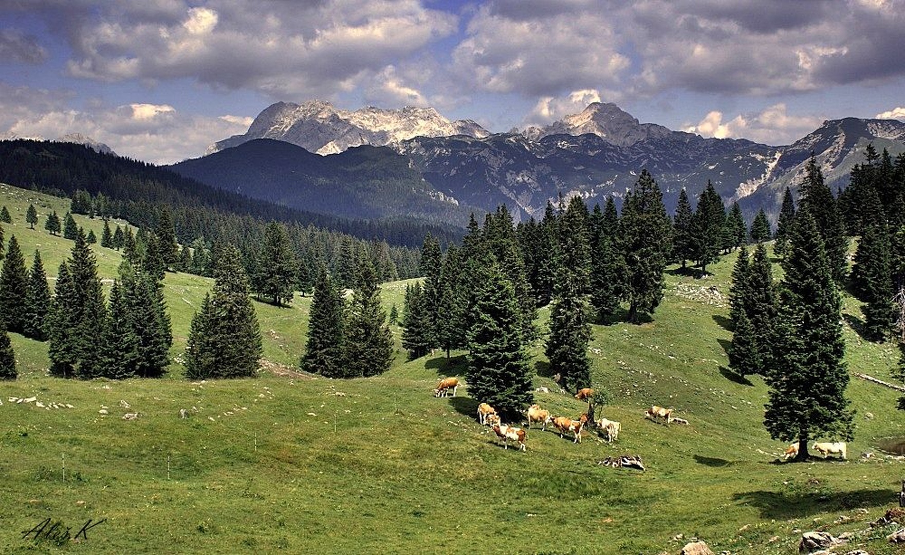 Planina by grupa T.N.T