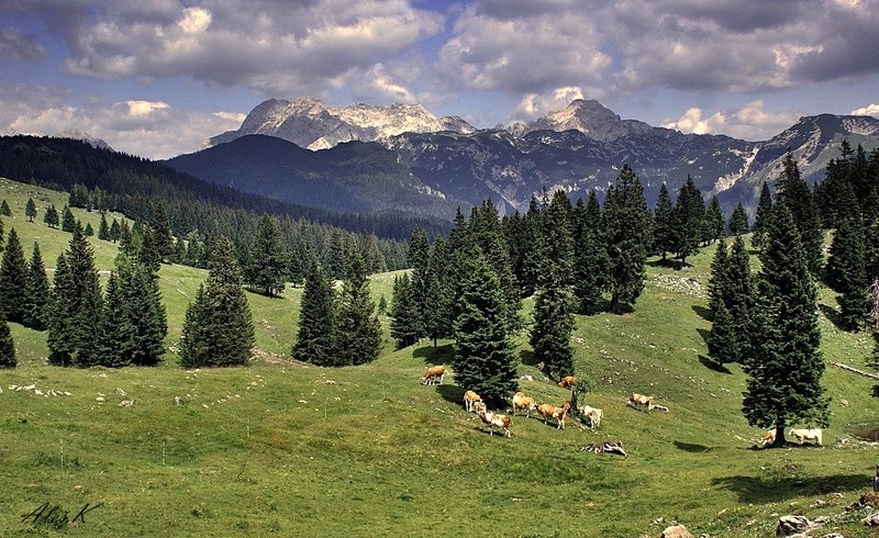 Planina by grupa T.N.T