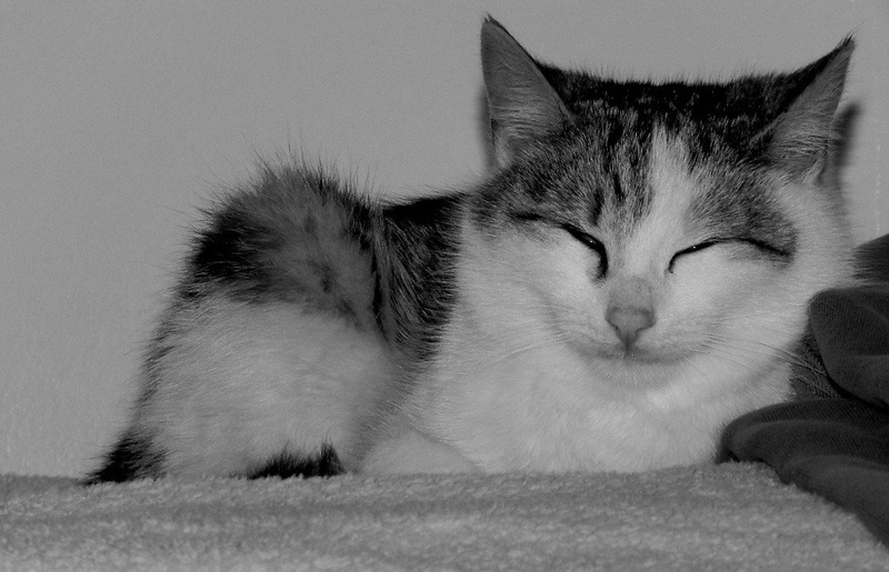 Poldi :) by Minka Novak