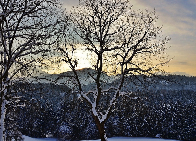 Zimski sončni zahod by Miha