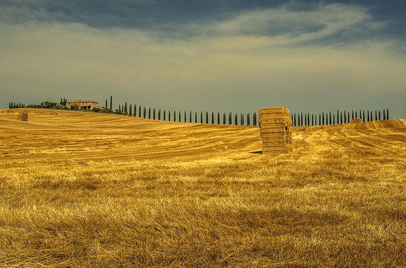 Val d'Orcia by Rok