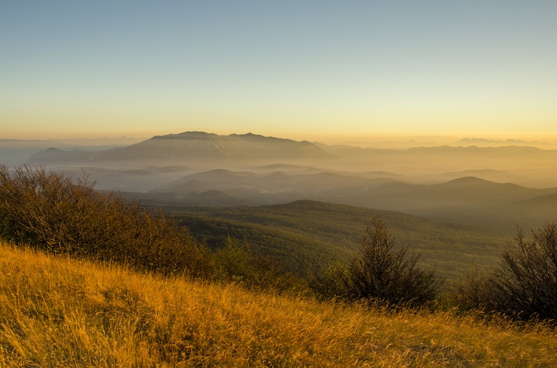 Jutro na Vremščici by Rok