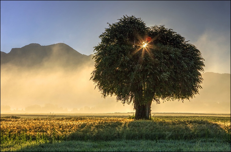 triple sun by Dare Brenko