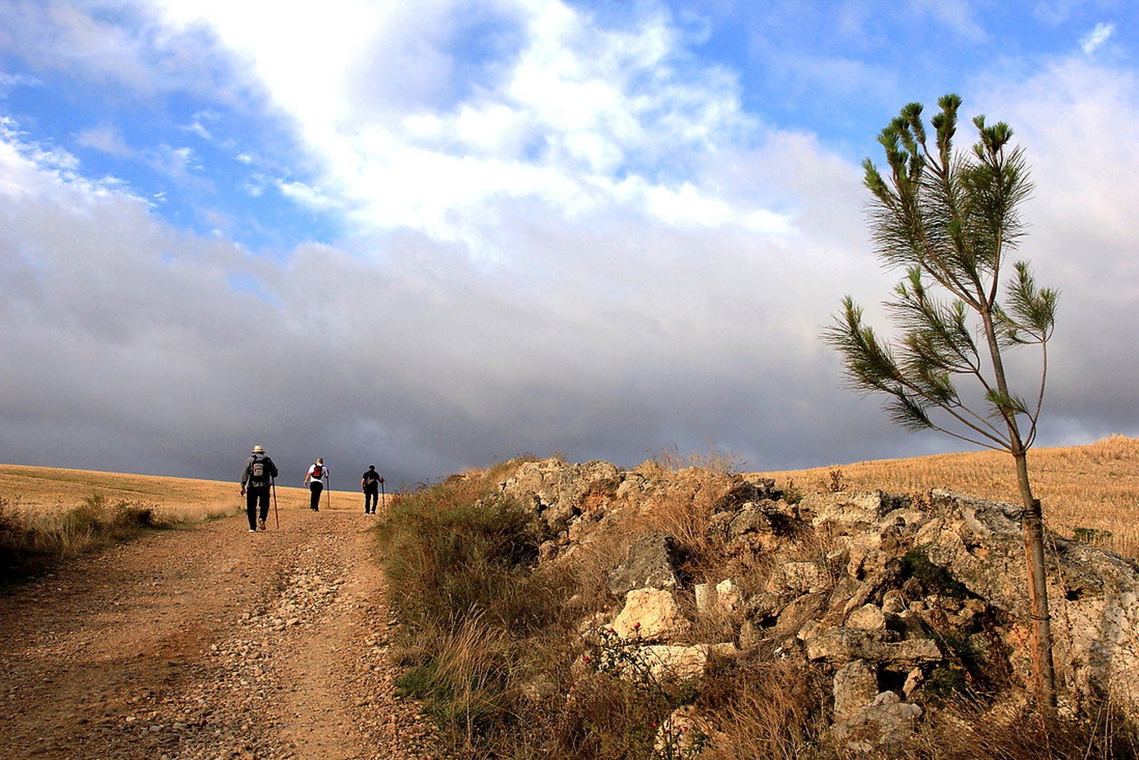 Camino by Mikki