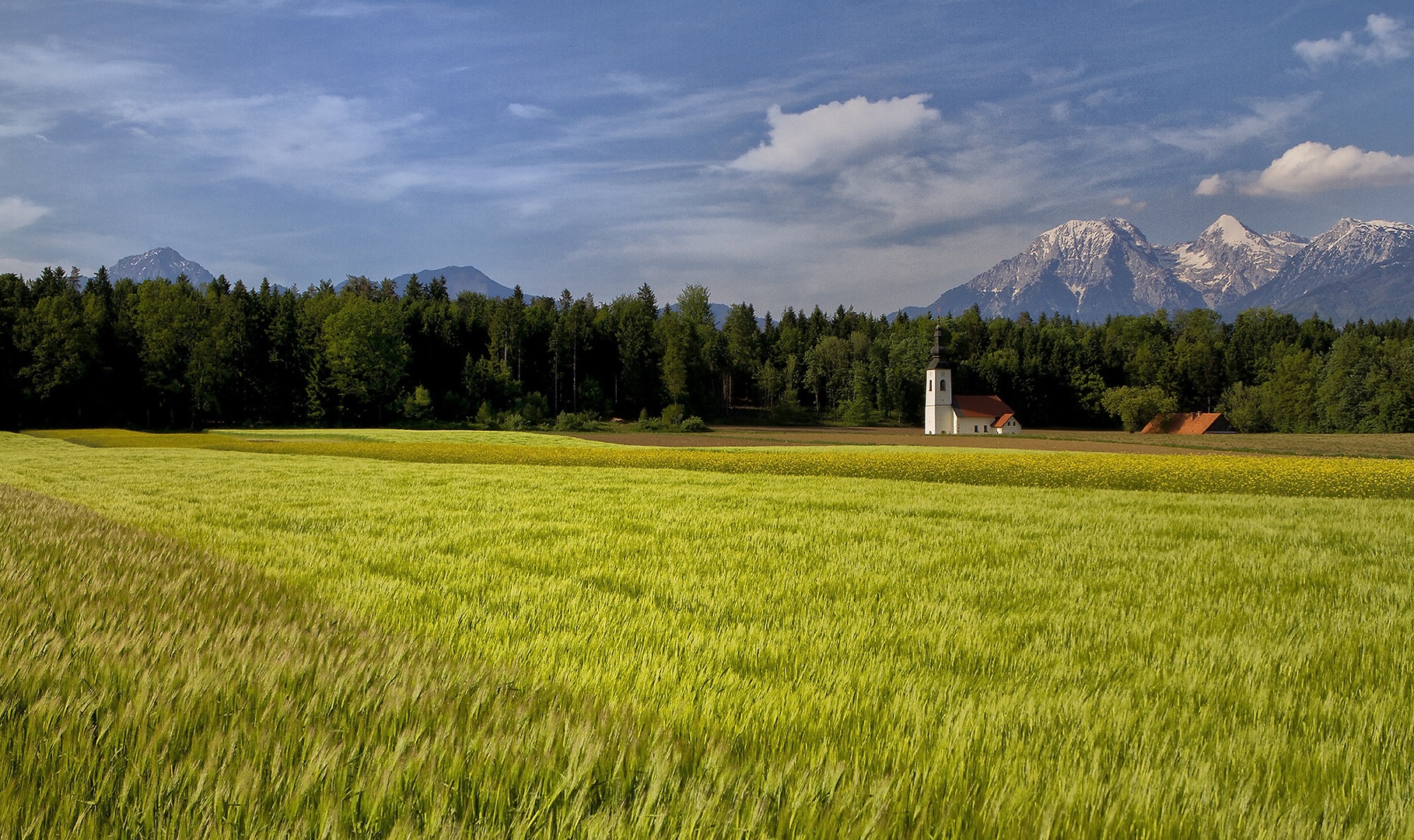 Pomlad drugič by Mikki